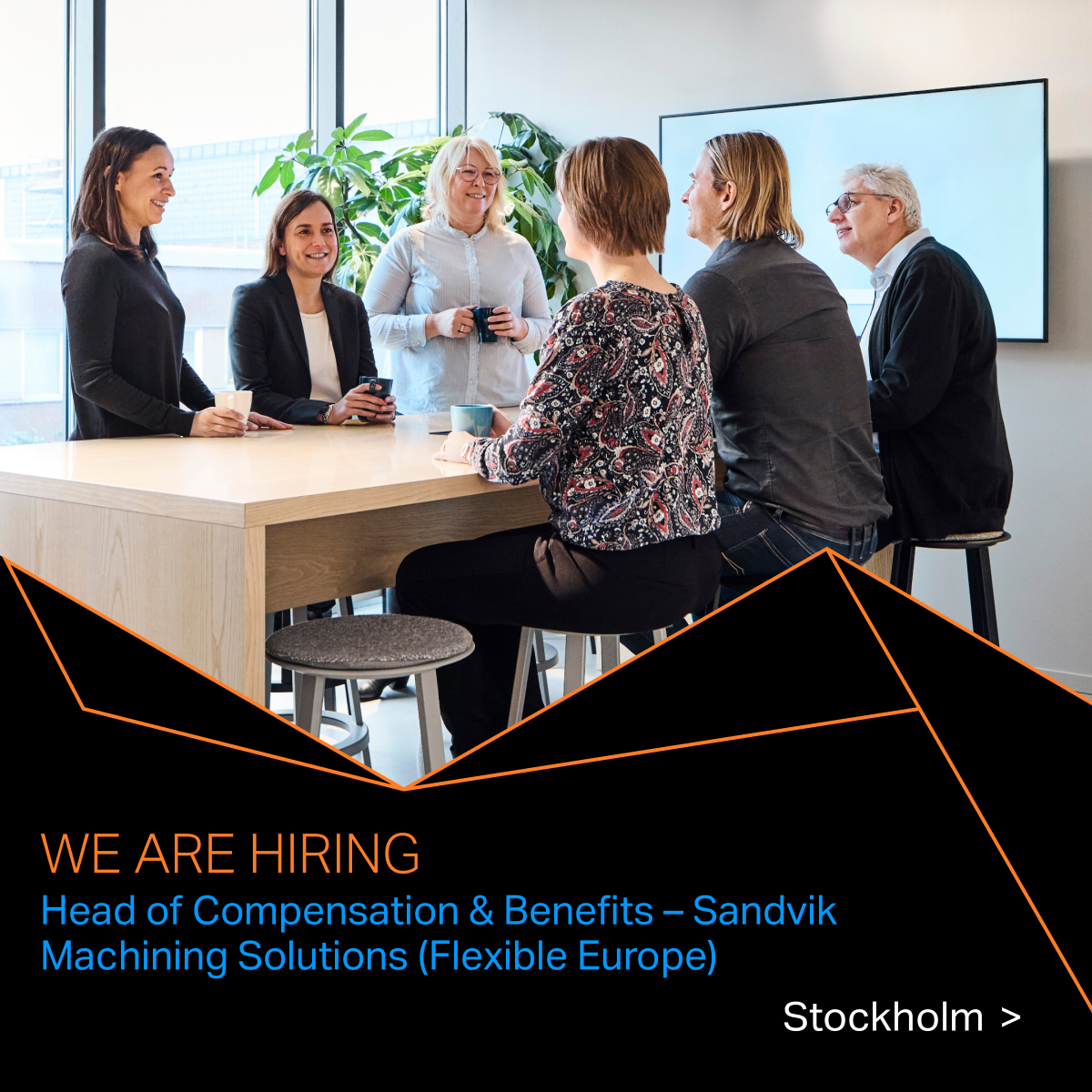 Head of Compensation & Benefits Sandvik Machining Solutions (Flexible